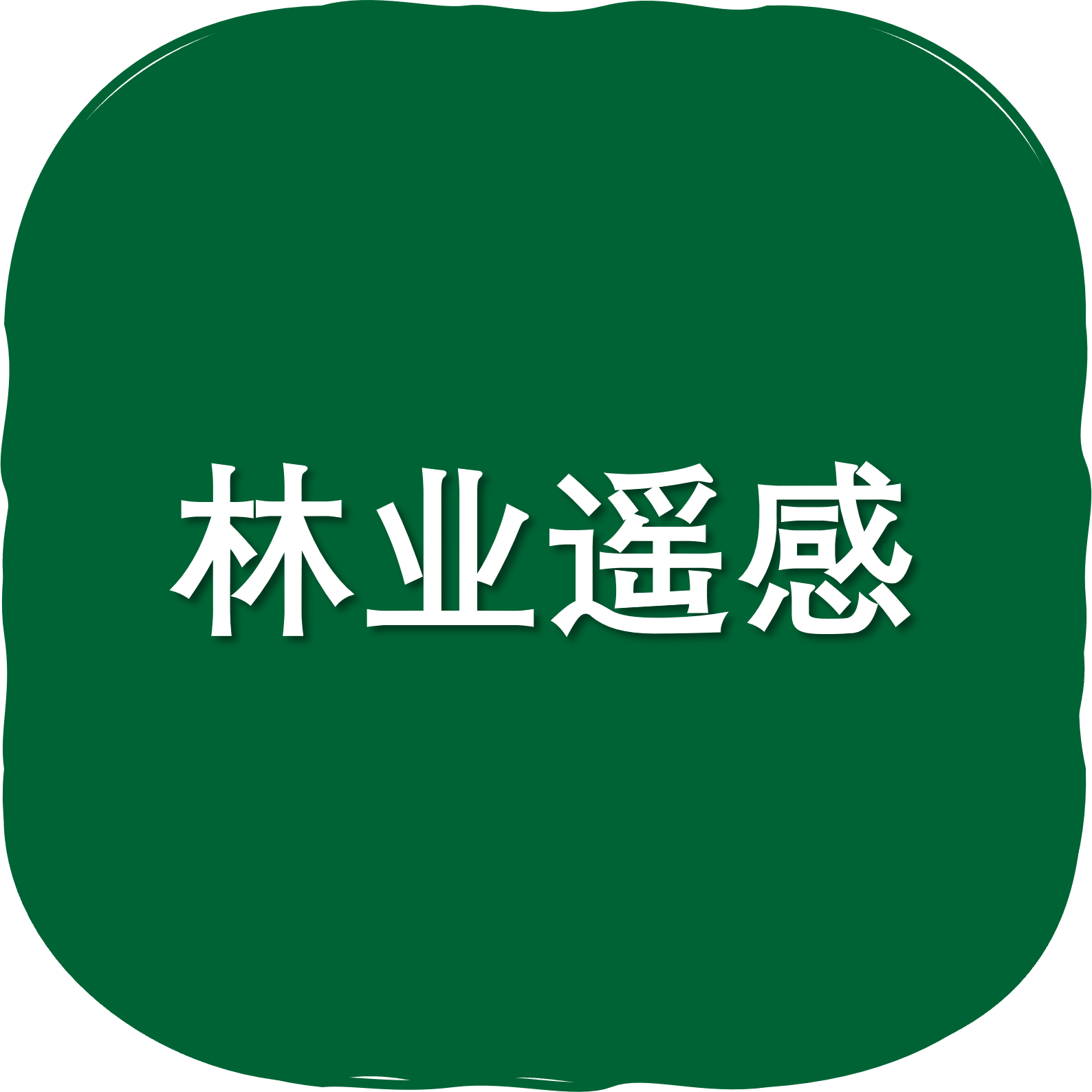林业遥感